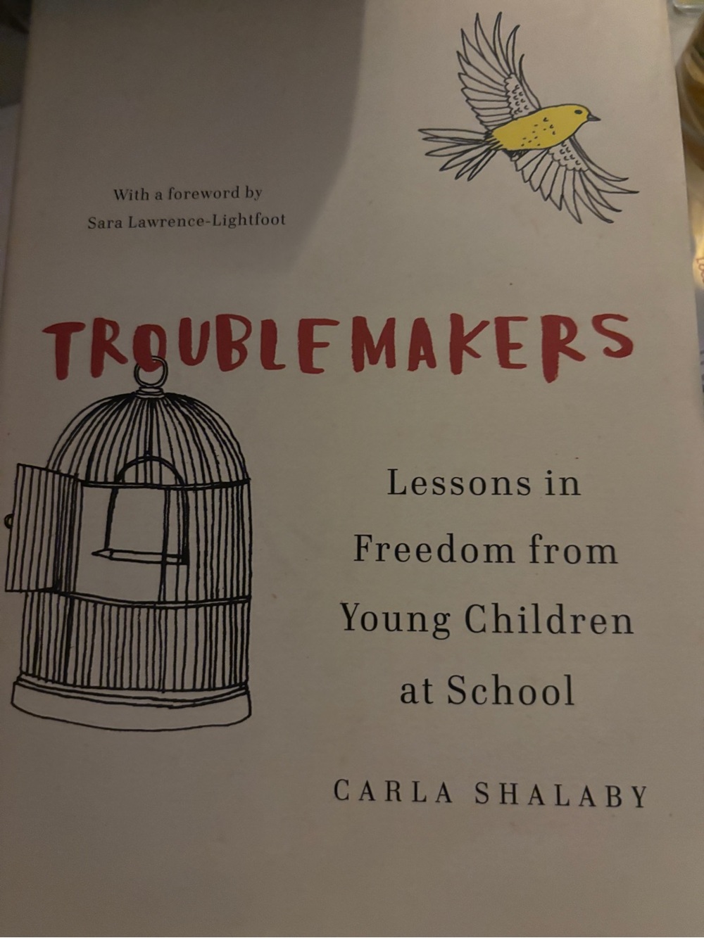 Troublemakers: Lessons in Freedom from Young Children at School Hardcover used